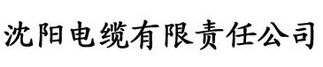 日本亚洲乱码中文字幕影院电缆厂logo